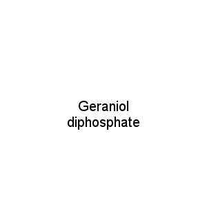 Geraniol diphosphate